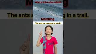 Action verbs ll what is this action called - Puppy - Nipping, Dog - Howling, Rolling #shorts