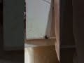 Didn't Mean to Spook the Little Guy