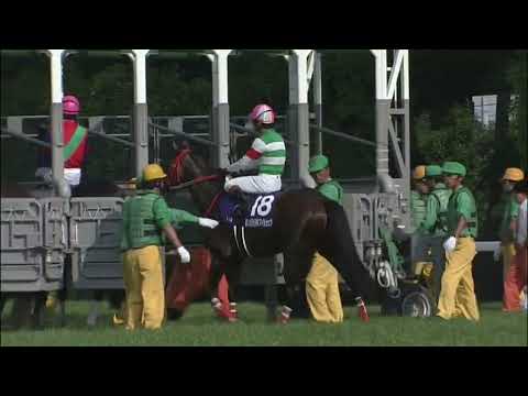 2009年NHKマイルカップ　ジョーカプチーノ