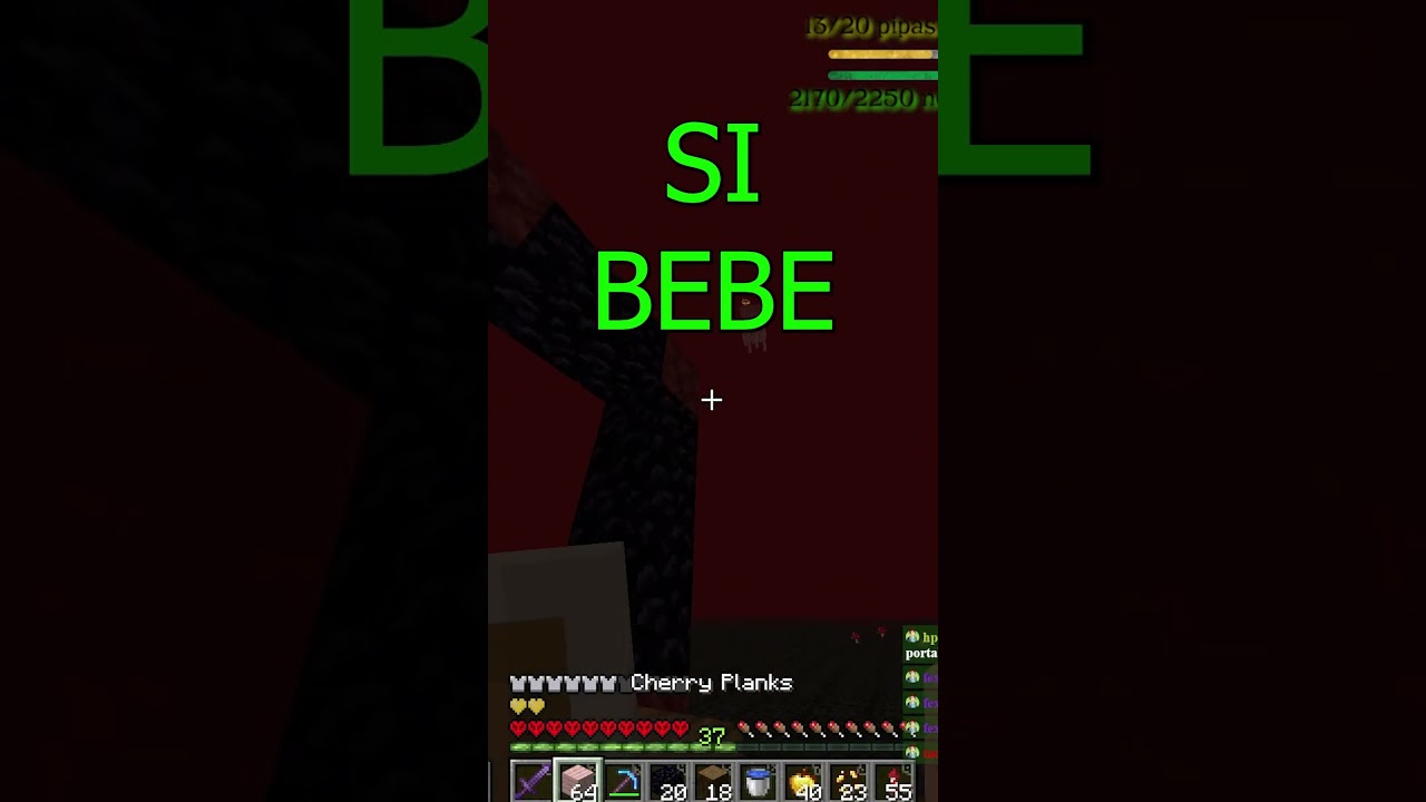 MUESTRO COMO ME LIBERE DEL NETHER. twitch.tv/felugh
