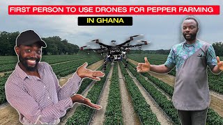 HOW HE IS MAKING OVER $3,000 PER ACRE FROM PEPPER FARMING IN AFRICA-GHANA