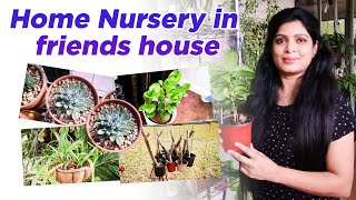 Home Nursery in friends house | Florida Gardening | Beautifull Garden | Desi gal telugu stories