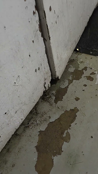 Download lagu 2612 1n