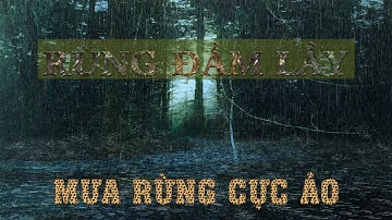 [ Video mưa rừng cực đẹp ] Tiếng mưa rừng, Nhạc thư giãn, Âm thanh mưa, Thư giãn, Giảm Stress
