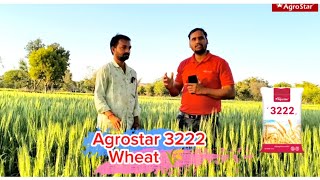 Agrostar 3222 Research Wheat 2025