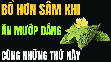 Bớt Ăn Cơm, Buổi Tối Ăn Mướp Đắng Nấu Với THỨ NÀY – Cả Người Nhẹ, Gan Thận Thông, Ngủ Ngon Tới Sáng