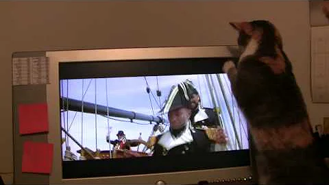 My Cat Hates Star Trek Generations...