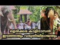 OLARIKKARA KALIDASAN ATTACK, ഇടച്ചിലിന്റെ തുടക്കവും വരുതിയിൽ വന്നതും, KERALA ELEPHANT ATTACK