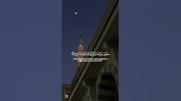 لحظات من السكينة والطمأنينة🌿 مع أجمل تلاوة للقرآن الكريم.🌸🕌