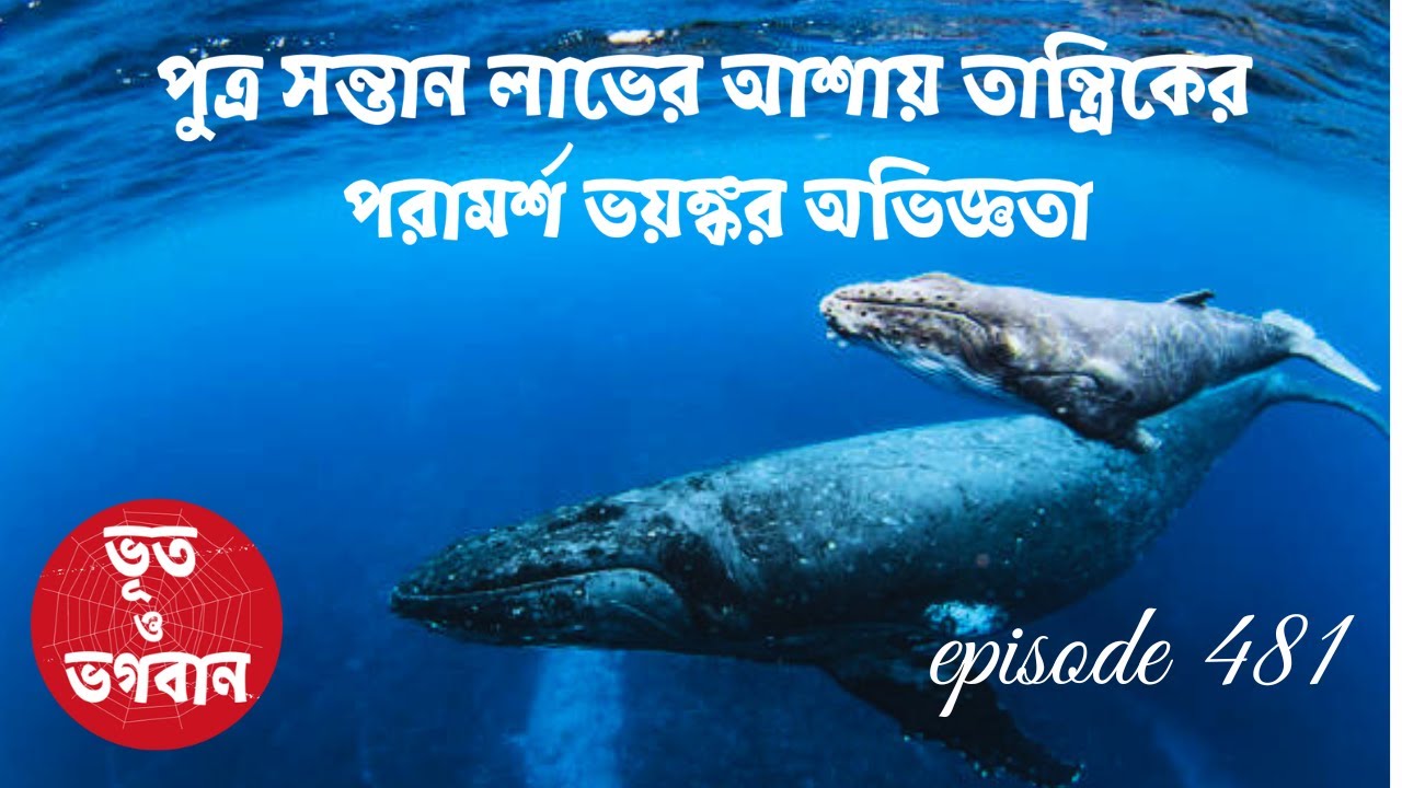 পুত্র সন্তান লাভের আশায় তান্ত্রিকের পরামর্শ ভয়ঙ্কর অভিজ্ঞতা@bhootobhogobanEp481|Audio|Suspense|
