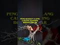 pengarahan ulang cabang ranting #bonsai #caraperawatanbonsai #bonsaitree #winatabonsai #tanaman