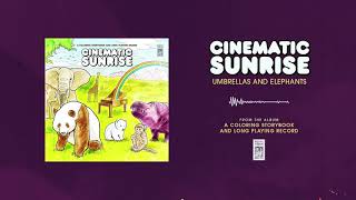 Watch Cinematic Sunrise Umbrellas And Elephants video