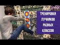 Как проходят тренировки у лучников разных классов?