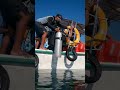 scuba diving ❤️❤️❤️❤️❤️❤️#love