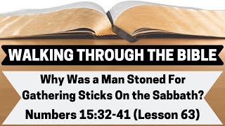 Why Was a Man Stoned For Gathering Sticks on the Sabbath? [Numbers 15:32-41][Lesson 63][WTTB]