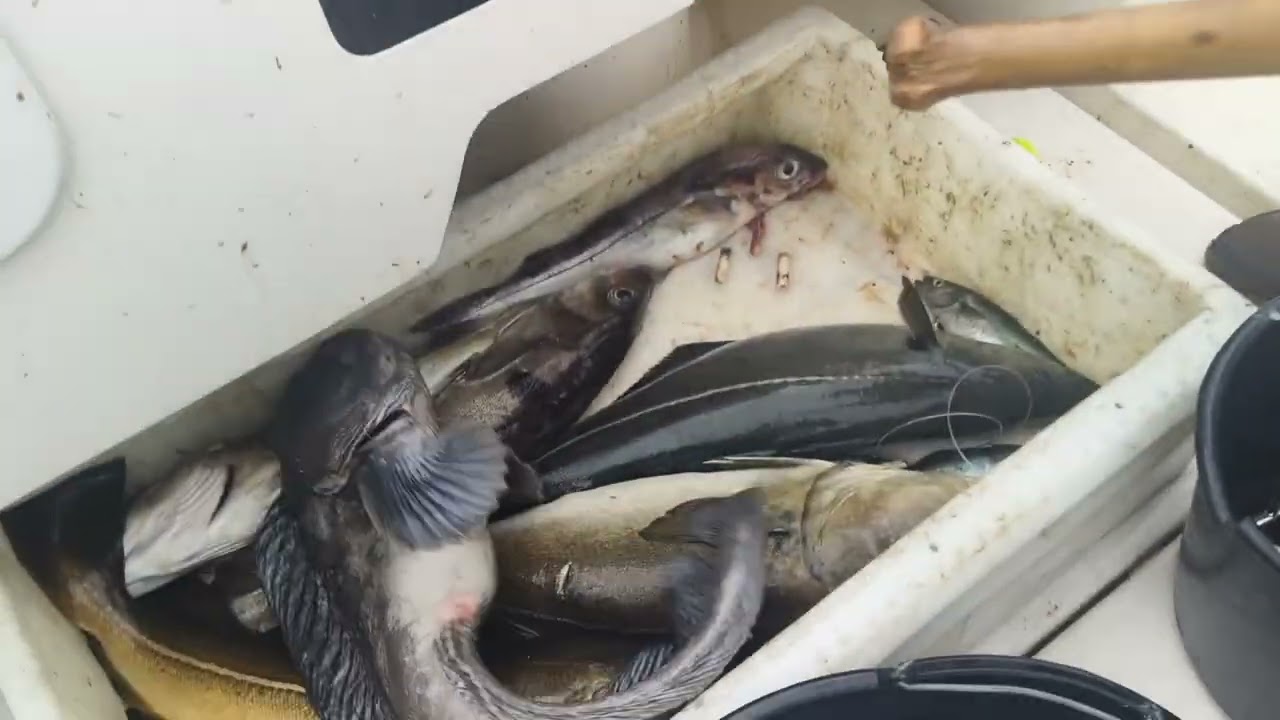 Norway Fishing / Adventure / Arctic Holiday / Fresh Air / Nature 