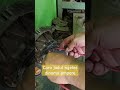 cara gampang ngetes dinamo ampere #automobile