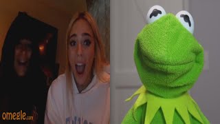 Kermit tries being wholesome on Omegle