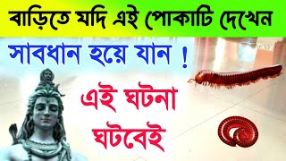 -কনন বডত এল ক করবন বডত কনন দখ দল সবধন House Centipede Warning