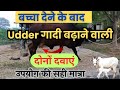 बच्चा देने के बाद Udder गादी बढ़ाने वाली दोनों दवाएं Cow Udder Growth medicine