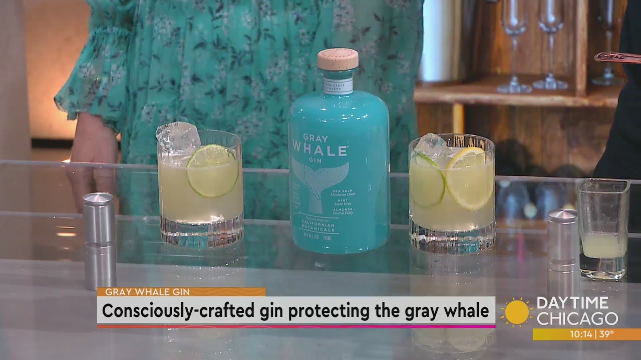 Consciously-crafted gin protecting the gray whale