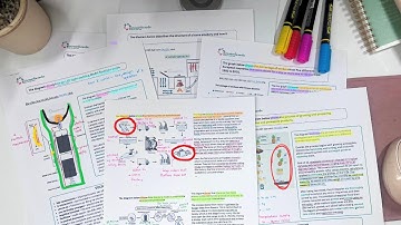 Cách học IELTS Writing Task 1 hiệu quả