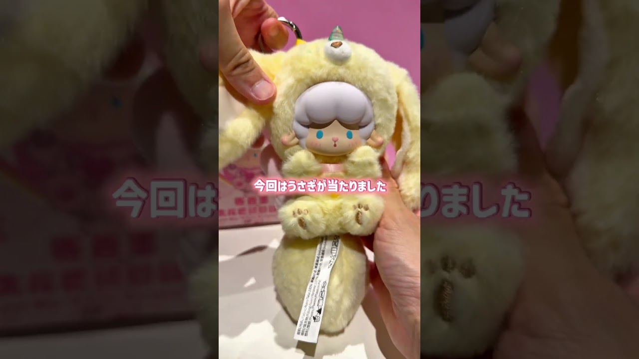流行りのぬいぐるみ