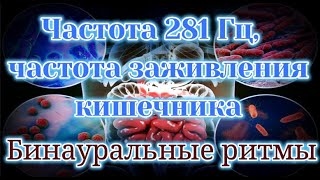 Частота 281 Гц, связанная с кишечником Частота заживления бинауральных ритмов