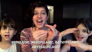 Cycle 1 Week 19 CC Science: Ocean Zones