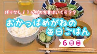 縛りなし！１ヶ月の食費はいくら？？【その３】/一人暮らし/食費節約/節約レシピ/