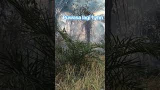 kayak gini suyapa yg salah