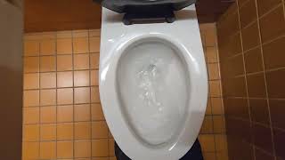 1979 Canadian Crane Placidus toilet