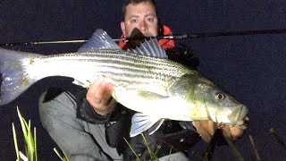 4/24/22 Surf Fishing Northshore Long Island: More Striped Bass!