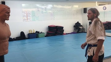 Martial arts kick reverse hook and jump reverse hook kick. Beating on B.O.B