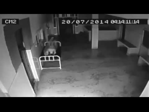 დაუჯერებელი კადრები: როგორ ტოვებს სული გარდაცვლილი ქალის სხეულს