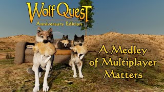 A Medley of Multiplayer Matters