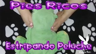 Pies ricos estripando peluche