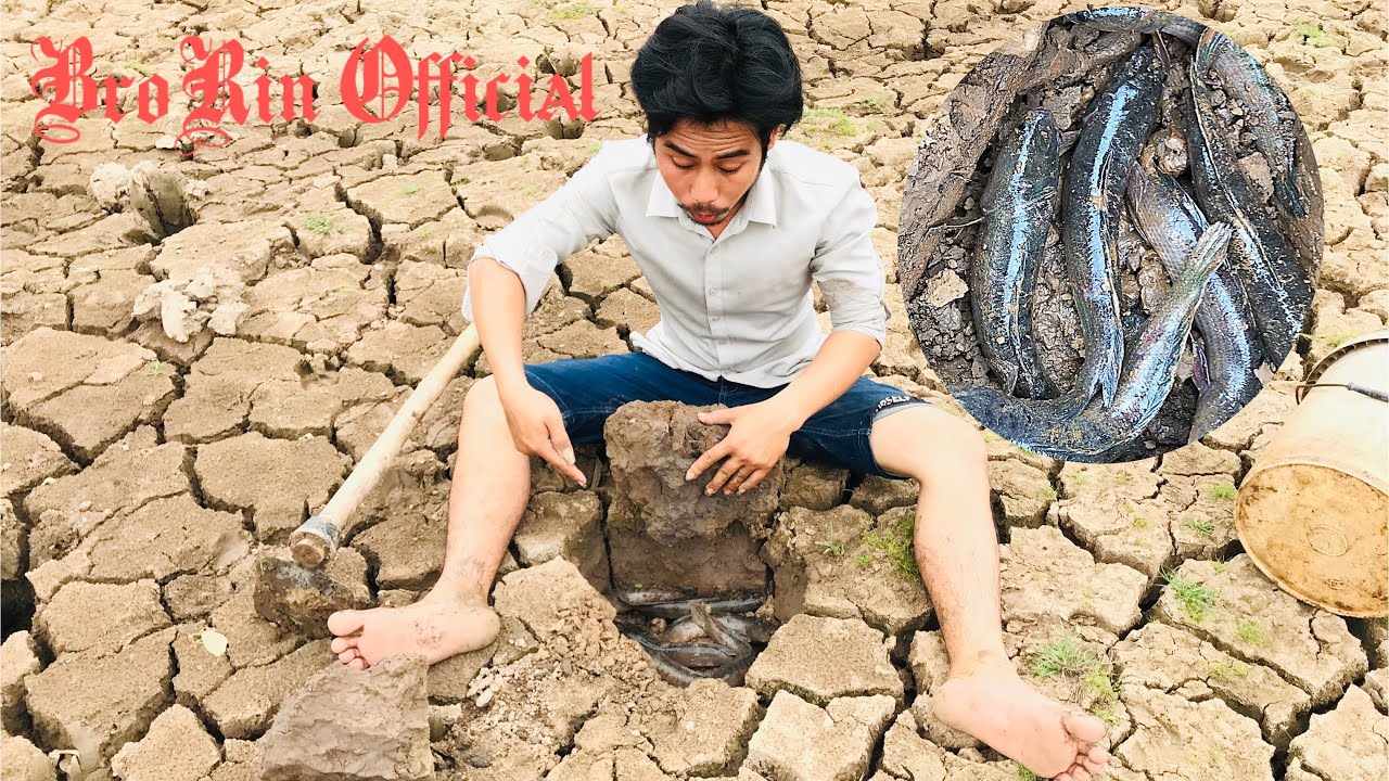 Amazing fishing video 2021|catch a lot of fish in the land |Top fishing /BroRin Official