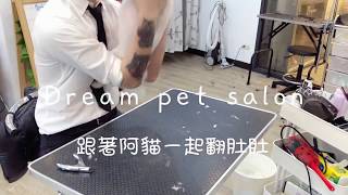 夢想寵物美容 31 跟著阿貓貓一起翻肚肚!? 狗狗翻肚技巧大公開~"