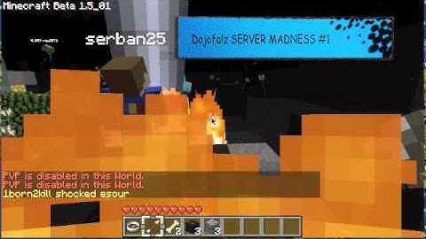 Minecraft Lest Play SERVER MADNESS Part 1