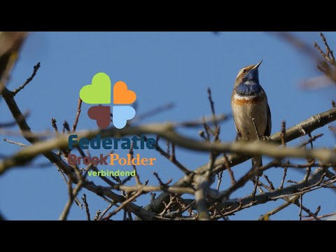 Broekpolder Vlaardingen promotiefilm 4K 2021