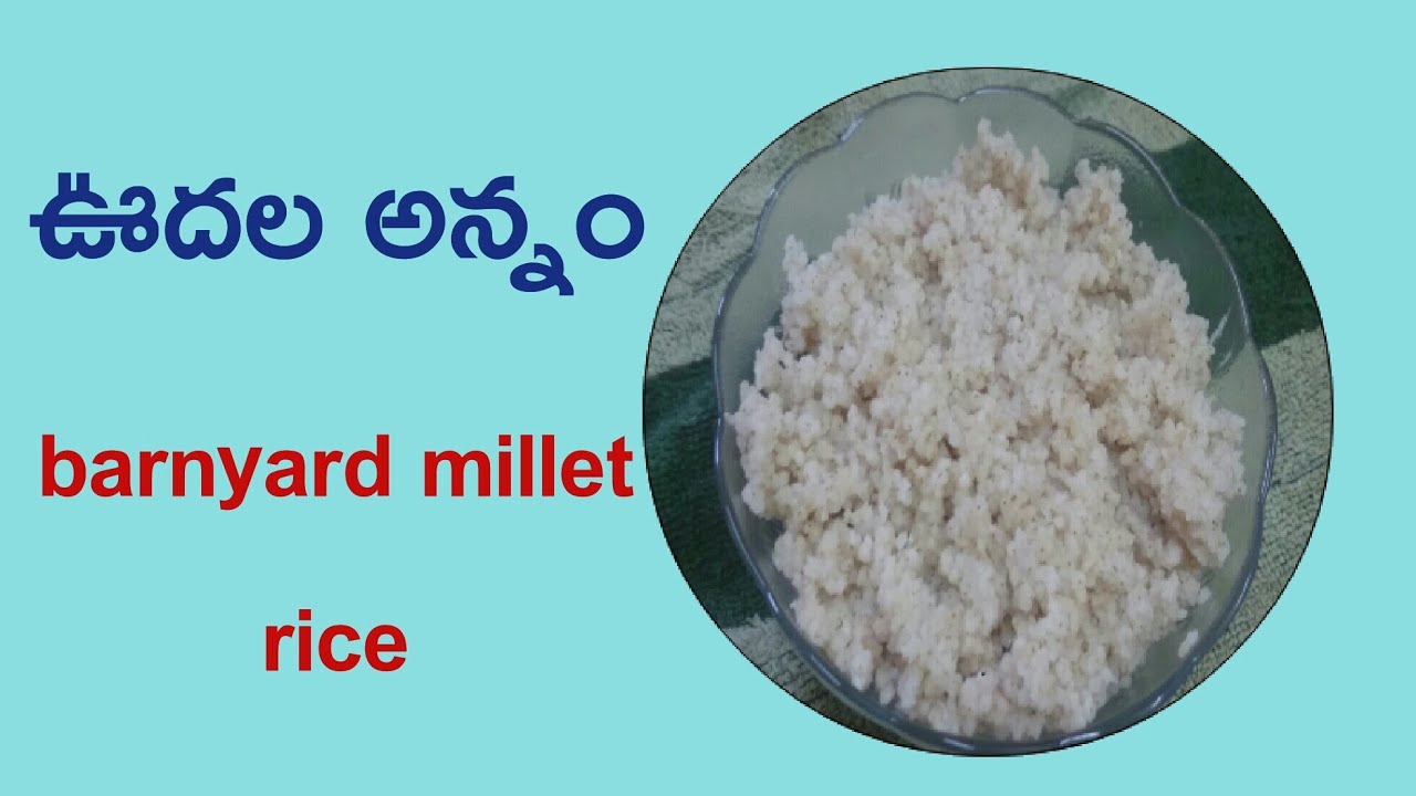 ఊదల అన్నం॥ barnyard millet rice preparation