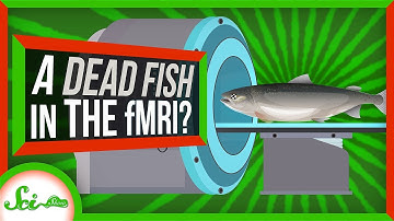 P-values Broke Scientific Statistics—Can We Fix Them?