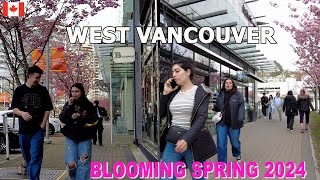 Vancouver Walk : PARK ROYAL West Vancouver British Columbia Canada on April 10 2024
