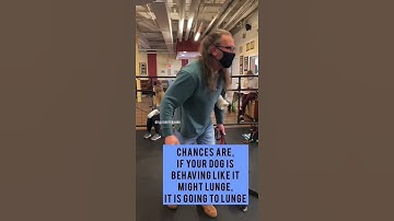 Are You Struggling With a Leash Reactive Dog 🐩 {DOG TRAINING} #dogtraining #shorts