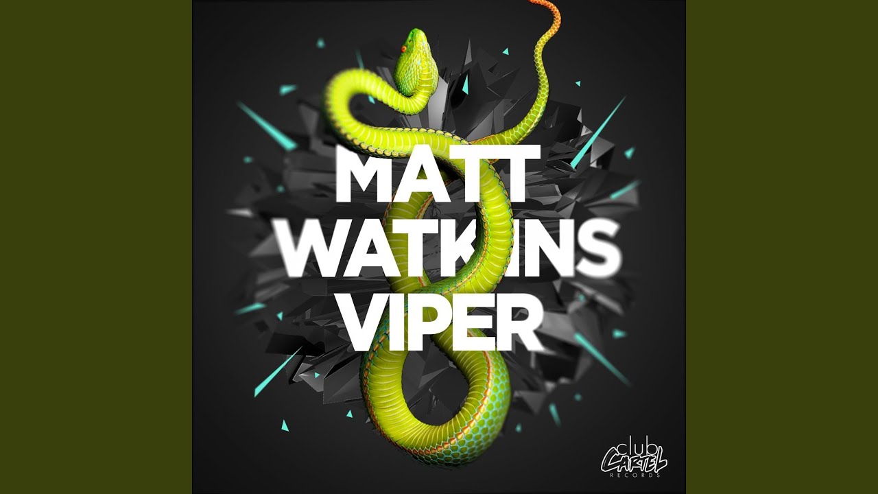 Παρακολούθηση Viper (Original Mix) στο YouTube