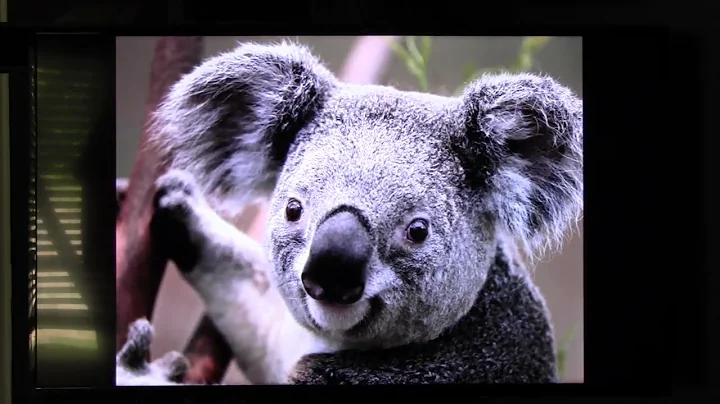 Getting Started with Samsung DC32E!