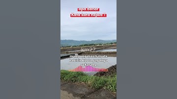 Motivasi Najwa Shihab  Gagal Perlu di Lalui Untuk Bisa Sukses #shorts #fyp