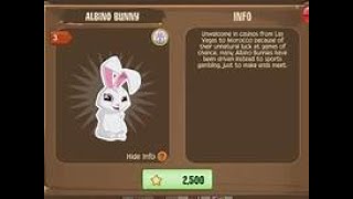 How To Get An Albino Bunny | Tunnel Town