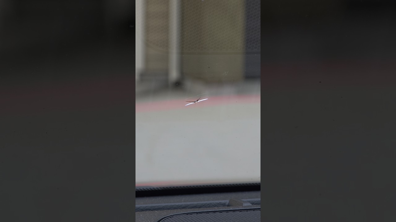 Вы готовы к приключениям?! 